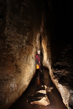 Thumbnail of photo from this article